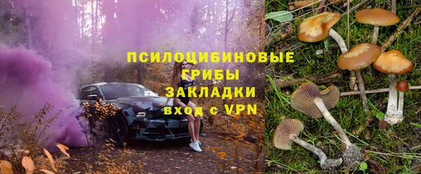 СК Куйбышев